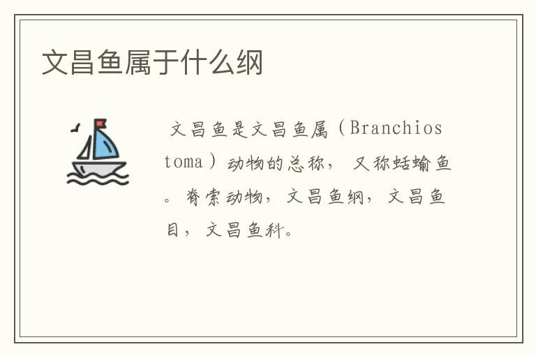 文昌鱼属于什么纲