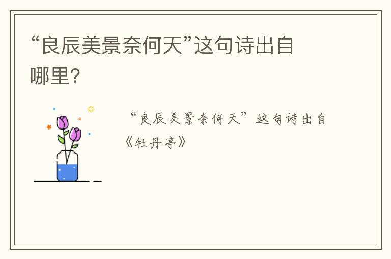 “良辰美景奈何天”这句诗出自哪里？