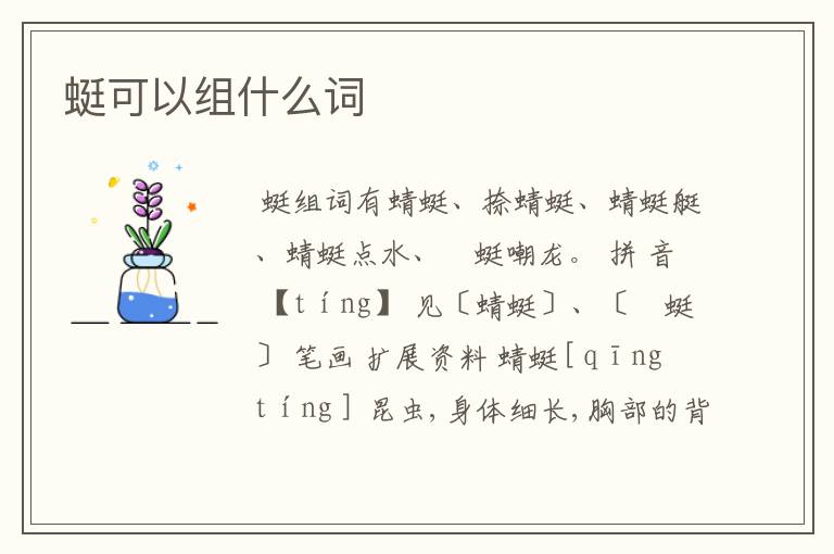 蜓可以组什么词