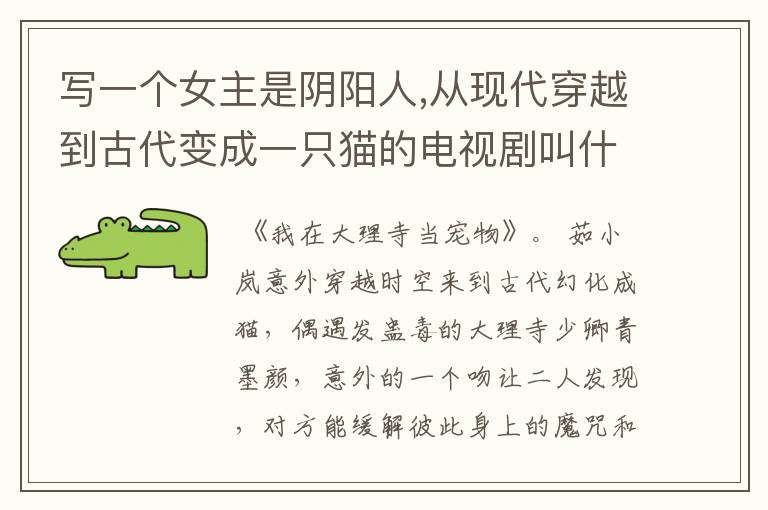 写一个女主是阴阳人,从现代穿越到古代变成一只猫的电视剧叫什么？