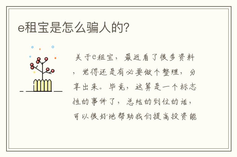 e租宝丁宁个人资料,e租宝丁宁案
